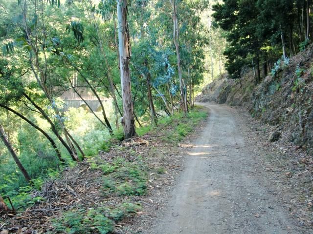 photo CIMG2223_zps45178954.jpg