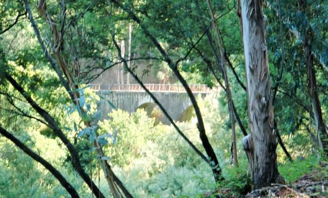 photo CIMG2224_zps0102aa8a.jpg