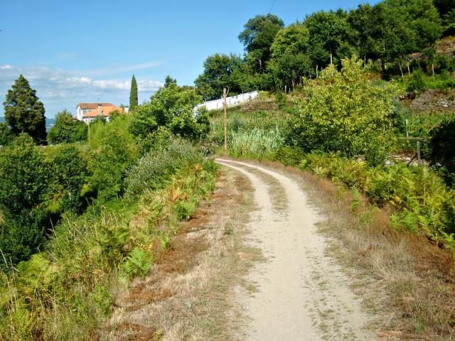 photo CIMG2228_zps0ac4063e.jpg