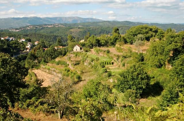 photo CIMG2229_zps80e2e0cb.jpg