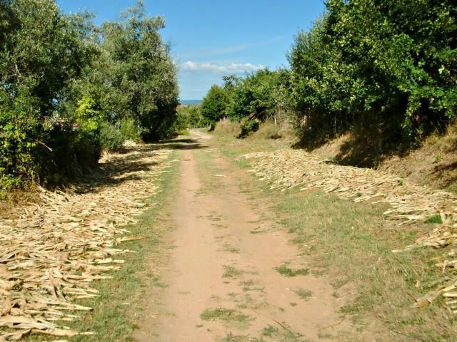 photo CIMG2231_zps8f558090.jpg