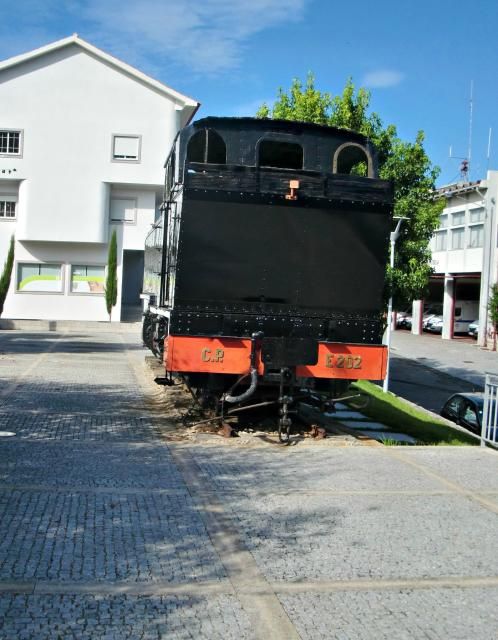 photo CIMG2240_zps26bf61fc.jpg