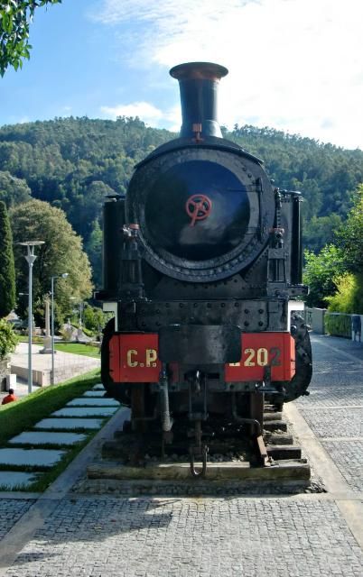 photo CIMG2244_zps9d993135.jpg