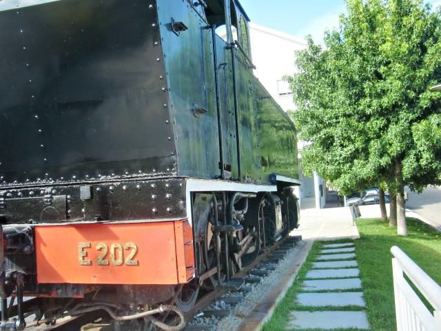 photo CIMG2245_zps78559479.jpg