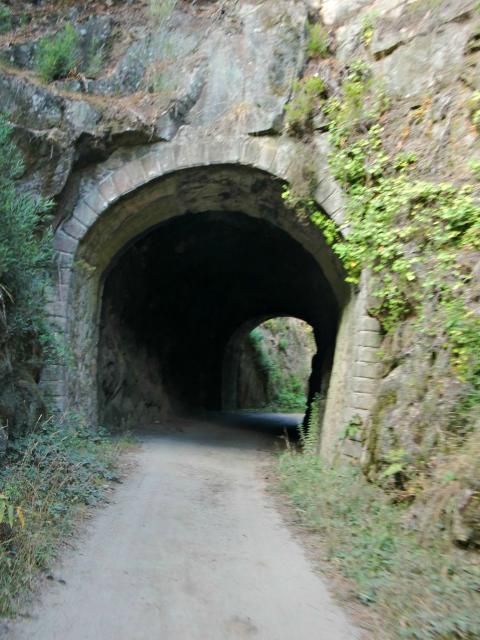 photo CIMG2248_zps98c4448a.jpg