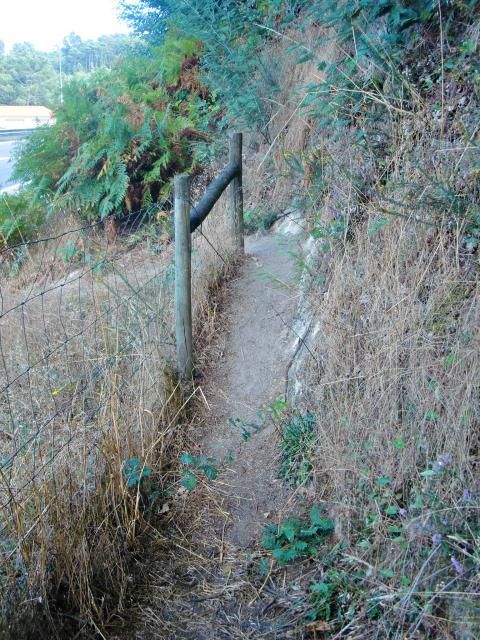 photo CIMG2251_zpsed917567.jpg