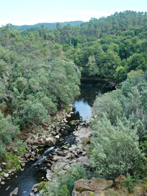 photo CIMG2258_zpsf0795cd9.jpg