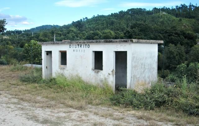 photo CIMG2261_zpsa2b4b943.jpg