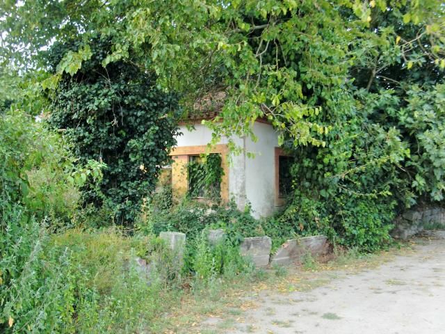 photo CIMG2265_zps234d350d.jpg