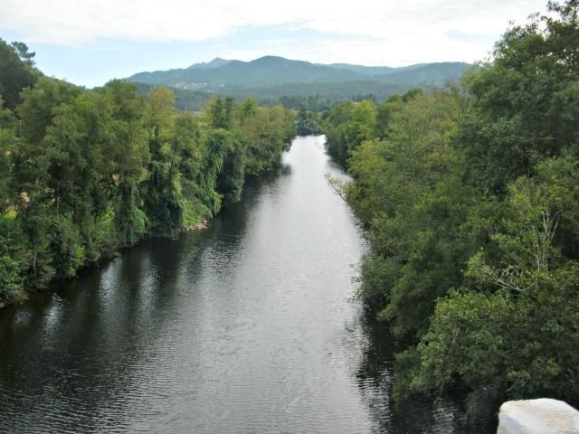 photo CIMG2270_zps58003e05.jpg