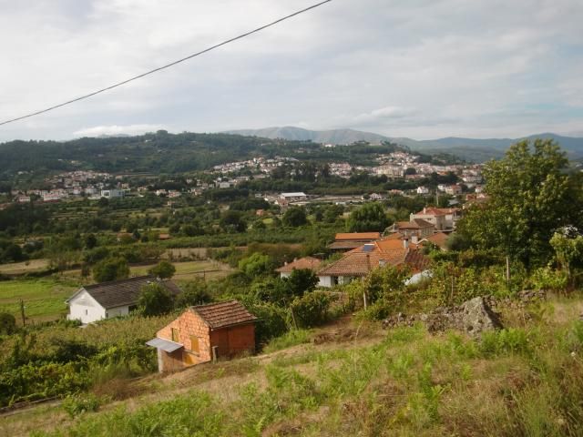 photo CIMG2277_zpsea4c9693.jpg