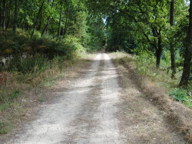 photo CIMG2279_zps1ea27b2c.jpg