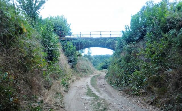 photo CIMG2281_zpsd2353152.jpg