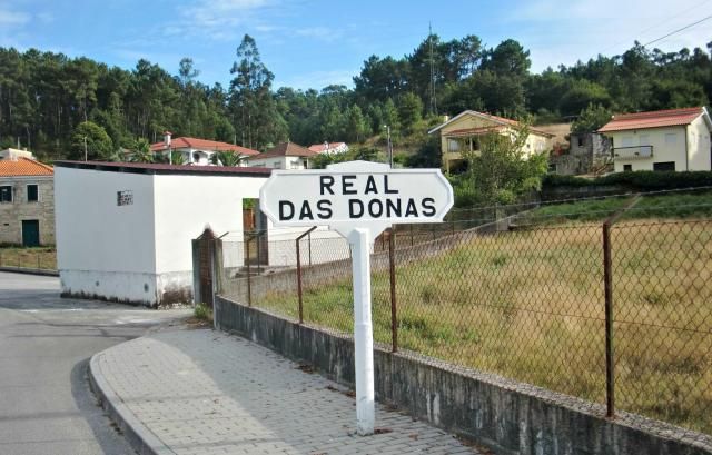 photo CIMG2282_zps6b056b2d.jpg