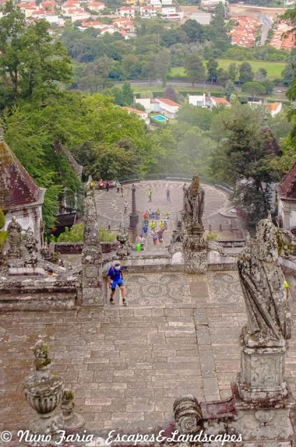  photo 8_zps87fc365f.jpg