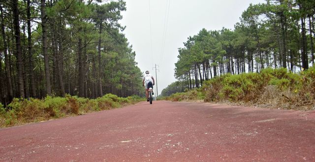 photo CIMG3771_zpst27stepd.jpg