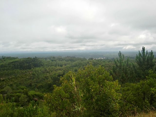 photo CIMG3861_zpsfn5ga3z6.jpg