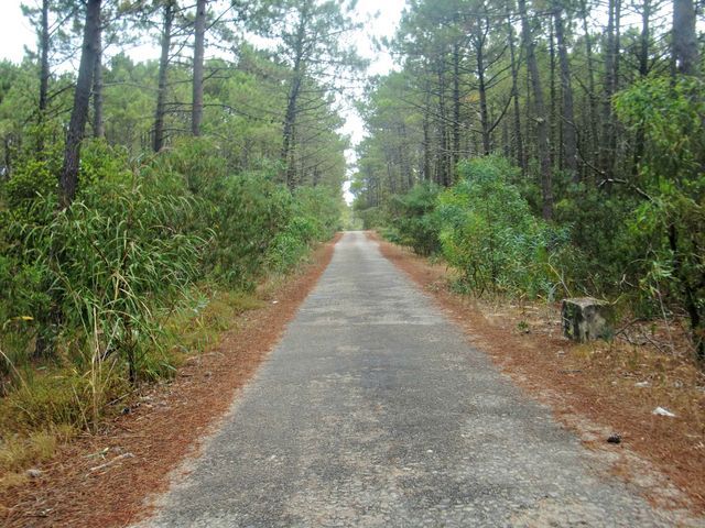 photo CIMG3862_zps2mcsbhsg.jpg