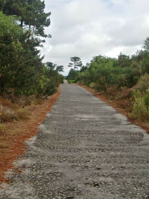 photo CIMG3868_zpsw9xadxae.jpg