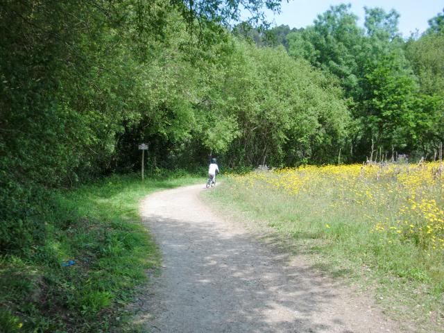 photo CIMG7261_zpsdd3b3ef2.jpg