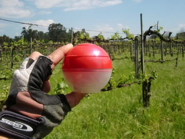 photo CIMG7272_zpse13e5fa9.jpg