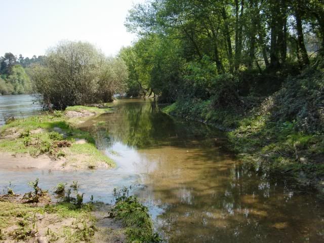 photo CIMG7277_zpse0dbd189.jpg