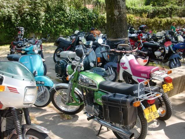 photo CIMG7352_zps16f6b5bd.jpg