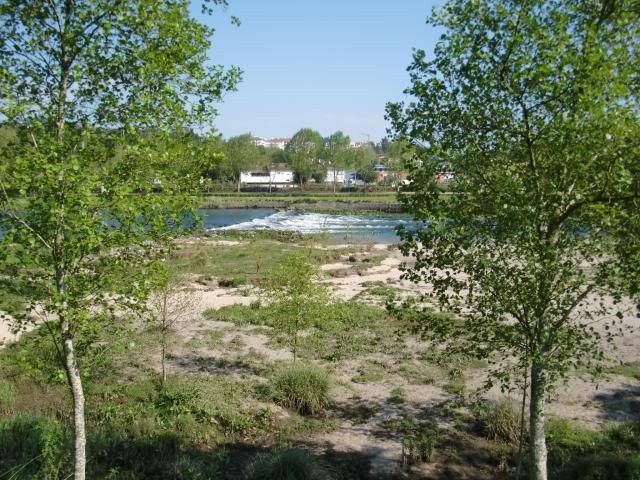 photo CIMG7423_zpsfe5ef3d5.jpg