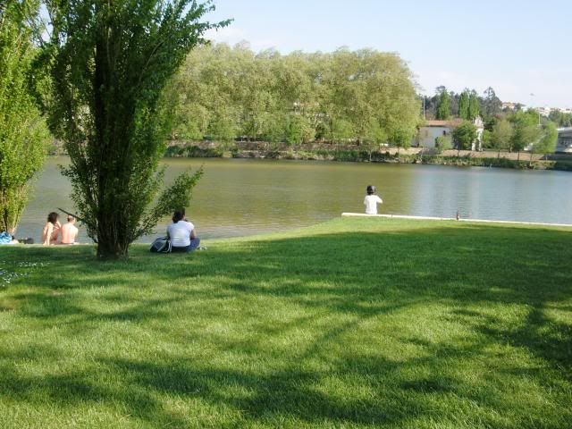 photo CIMG7435_zps7a3d2dba.jpg