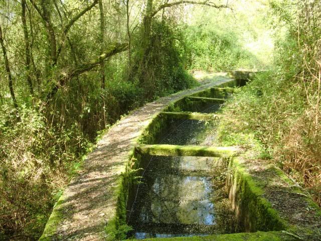 photo CIMG7176_zpsf4e894f7.jpg