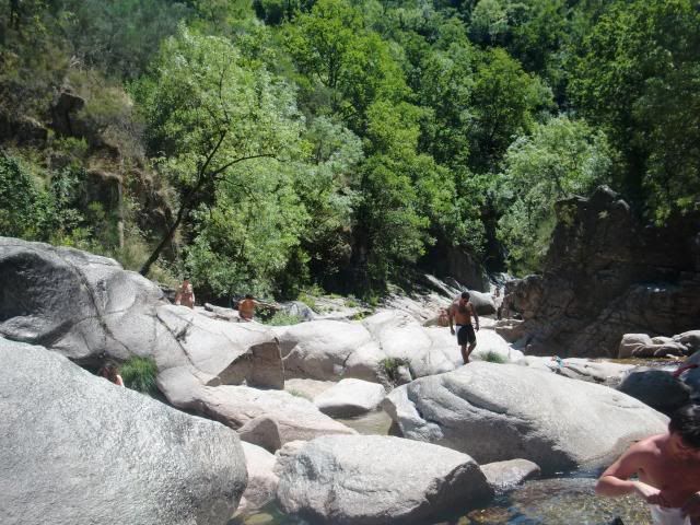  photo CIMG8552_zps5cdb5f7d.jpg