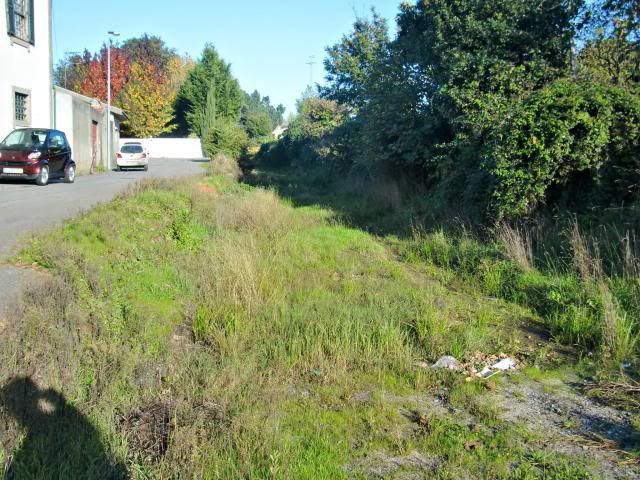 photo CIMG0290_zps9455e4d2.jpg