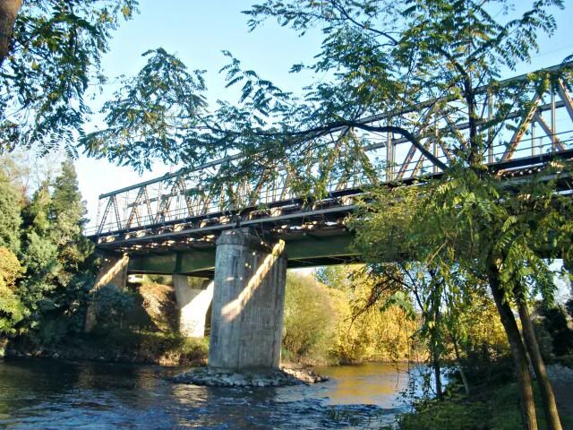 photo CIMG0291_zps0e6ebaf4.jpg