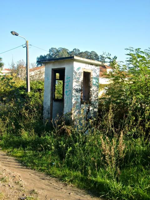 photo CIMG0300_zps59ee0edc.jpg