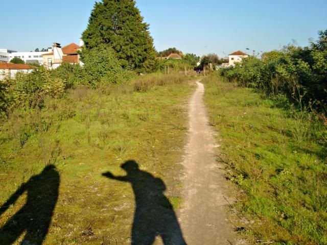 photo CIMG0302_zps6fc54667.jpg