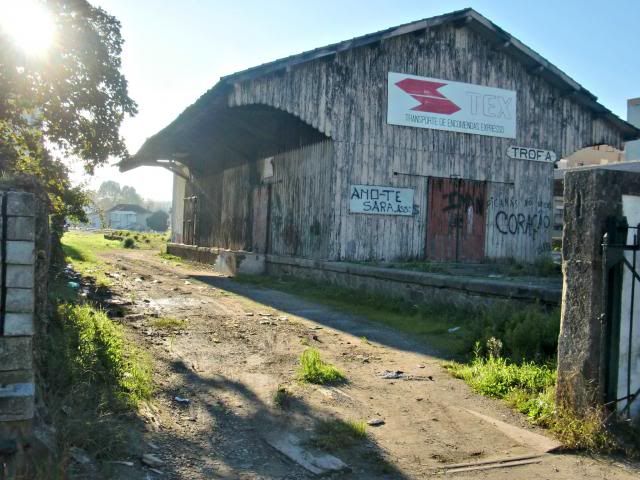 photo CIMG0311_zps0b8df10c.jpg