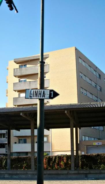 photo CIMG0312_zpsa126a6a1.jpg