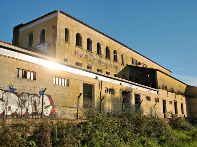 photo CIMG0320_zpsb8502ae7.jpg