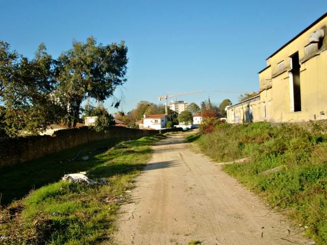 photo CIMG0321_zps01cdaae0.jpg