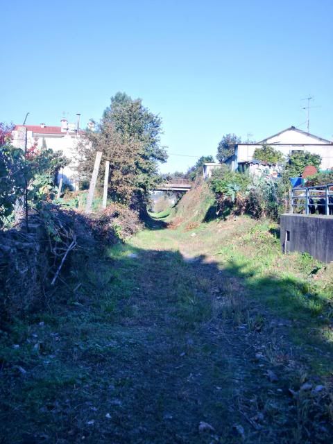 photo CIMG0326_zps93e0d6cd.jpg