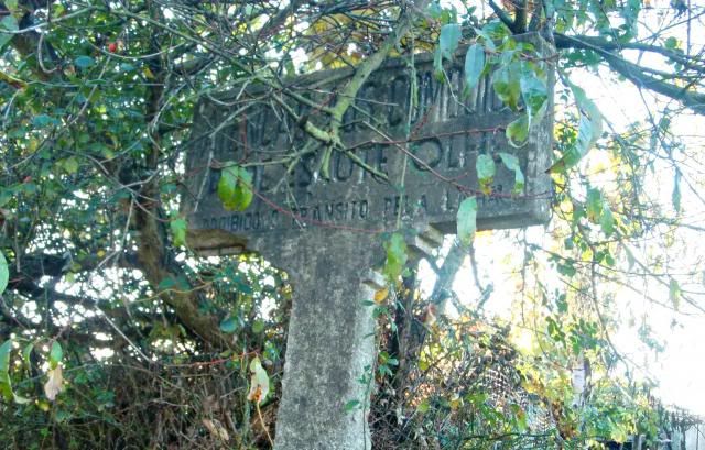 photo CIMG0327_zps111d4784.jpg