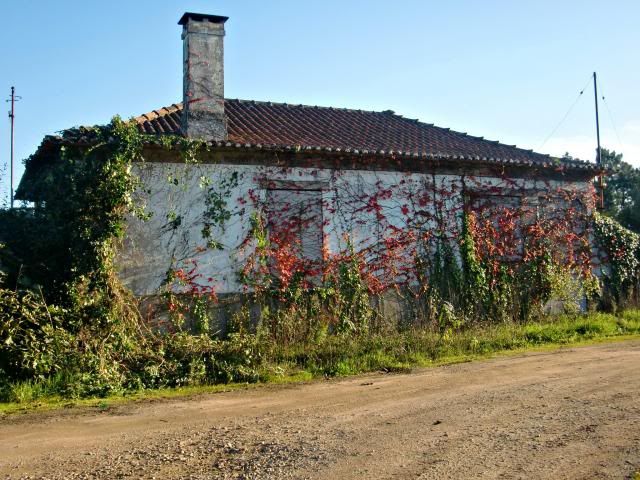 photo CIMG0331_zps74dfb53e.jpg