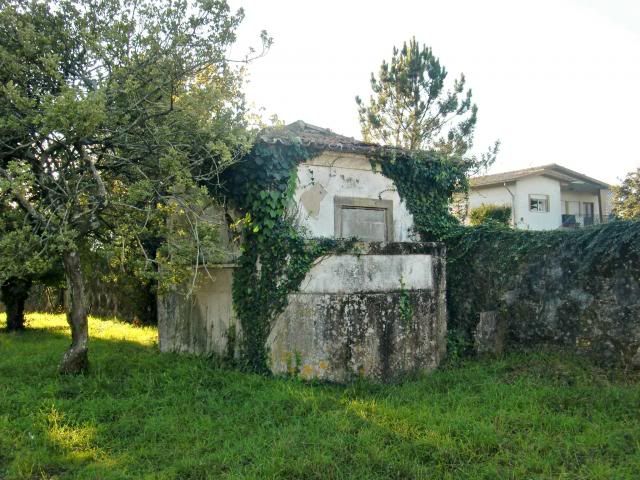 photo CIMG0333_zpsd1ed4d15.jpg