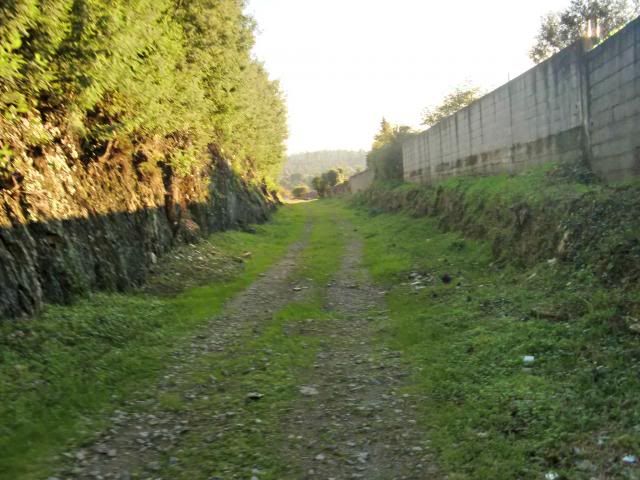 photo CIMG0340_zps1c75f95a.jpg