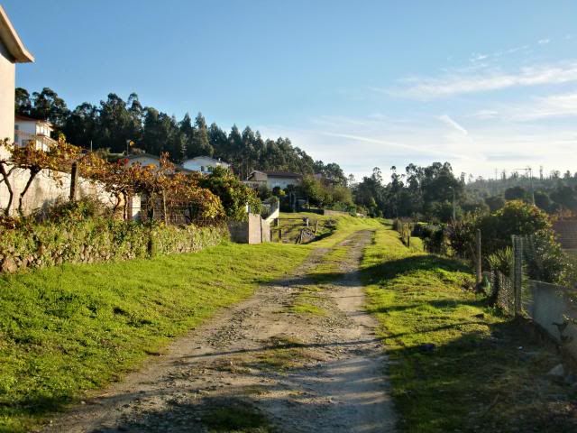 photo CIMG0342_zps9a2d3c9d.jpg