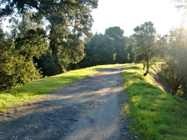 photo CIMG0343_zpsc35dc145.jpg