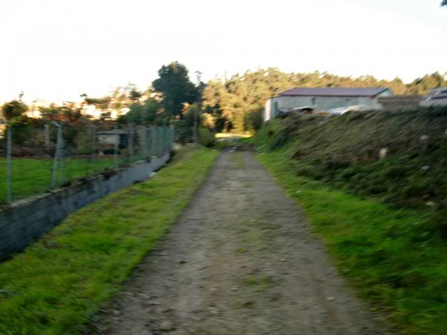 photo CIMG0347_zps4b85a52f.jpg