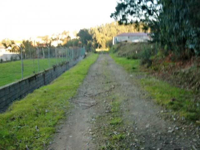 photo CIMG0348_zps33e6f729.jpg