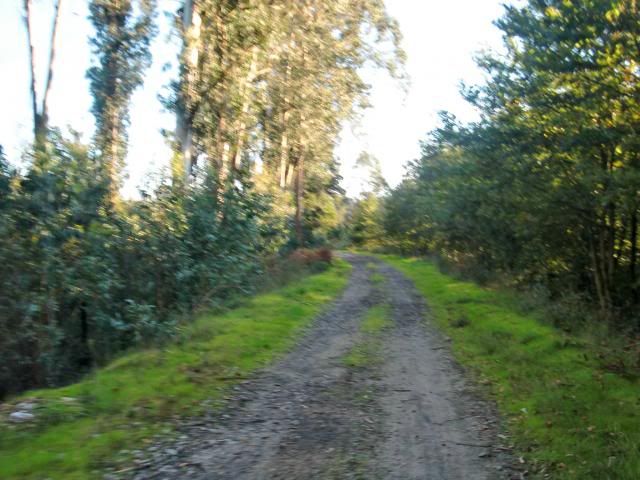 photo CIMG0351_zpsb3041a49.jpg