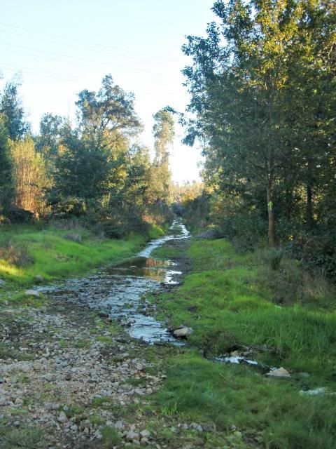 photo CIMG0352_zps703f77e7.jpg